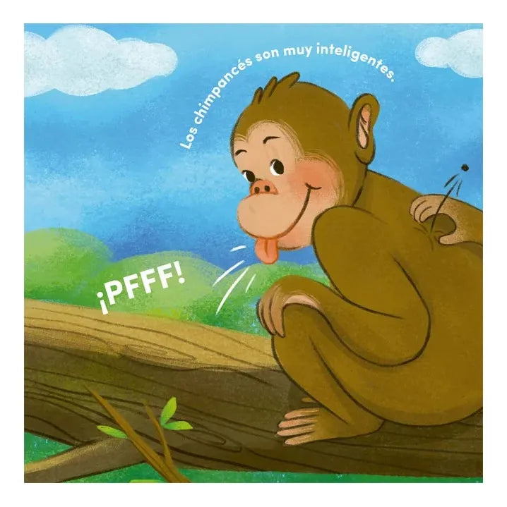 Libro Todo Sobre Animales De La Selva