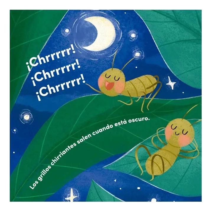 Libro Todo Sobre Insectos