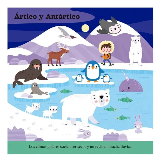 Libro Piezas De Juego Selva