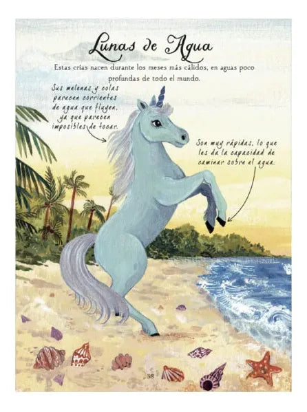 Libro Sociedad Magica De Los Unicornios Bebés Unicornios