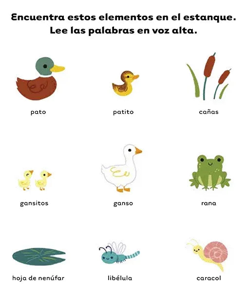 Libro En La Granja Pequeño Oso, Primeras Palabras