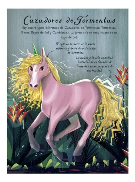Libro Sociedad Magica De Los Unicornios Bebés Unicornios