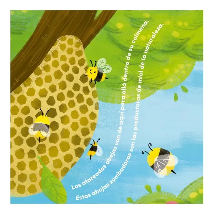 Libro Todo Sobre Insectos
