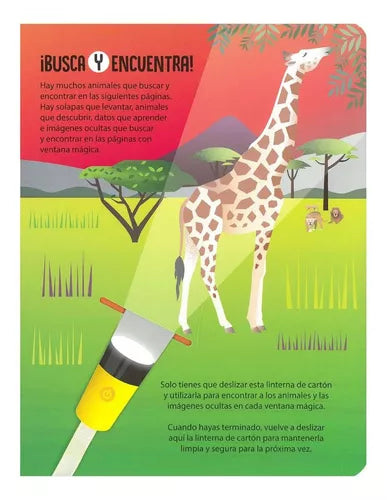 Libro Animales Busca Y Encuentra
