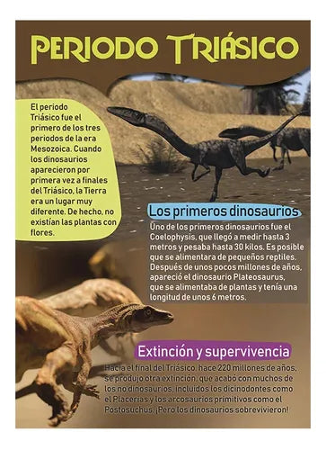 Libro Mi Gran Libro De Dinosaurios