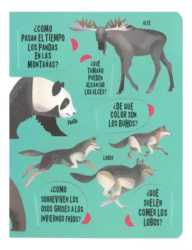 Libro Animales Busca Y Encuentra