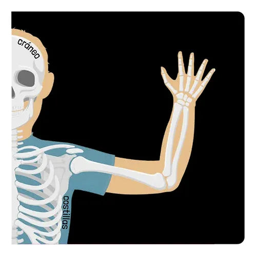 Libro El Cuerpo Humano Una Aventura Científica Desplegable
