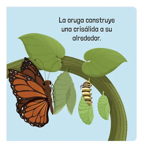 Libro Cómo Funcionan Los Organismos Vivos