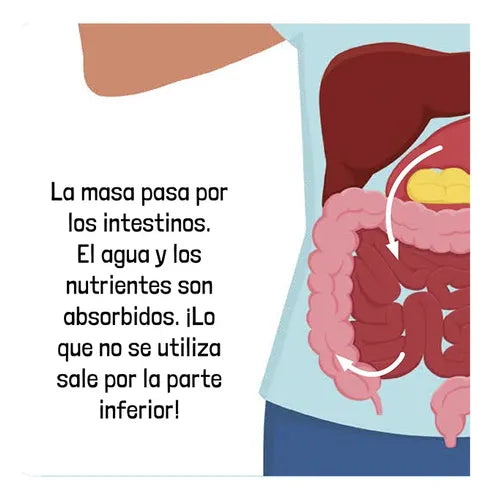 Libro El Cuerpo Humano Una Aventura Científica Desplegable