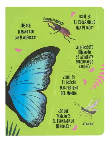 Libro Insectos Busca Y Encuentra Con Linterna