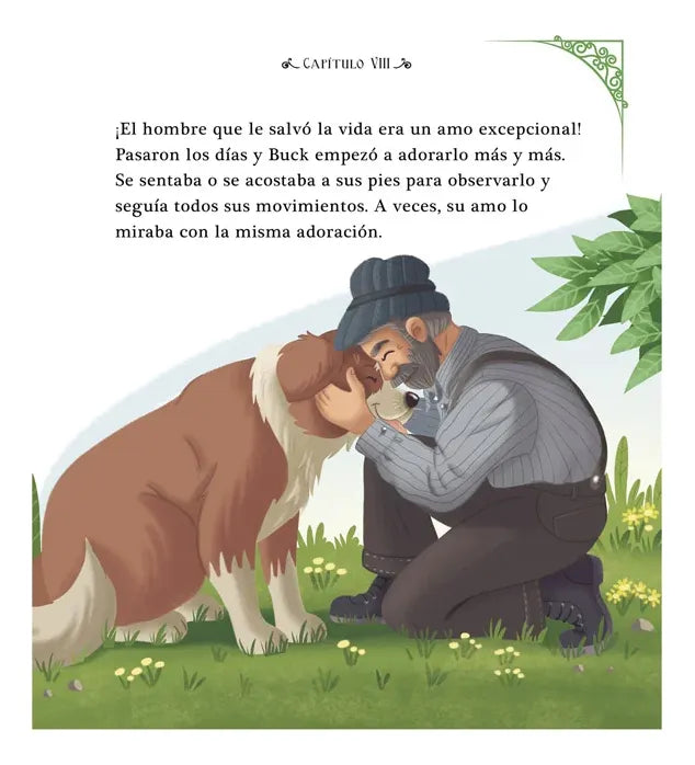 Libro La Llamada De Lo Salvaje Clásicos Juveniles