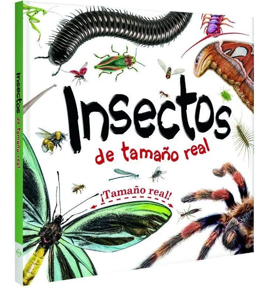 Libro Insectos impresionantes páginas desplegables