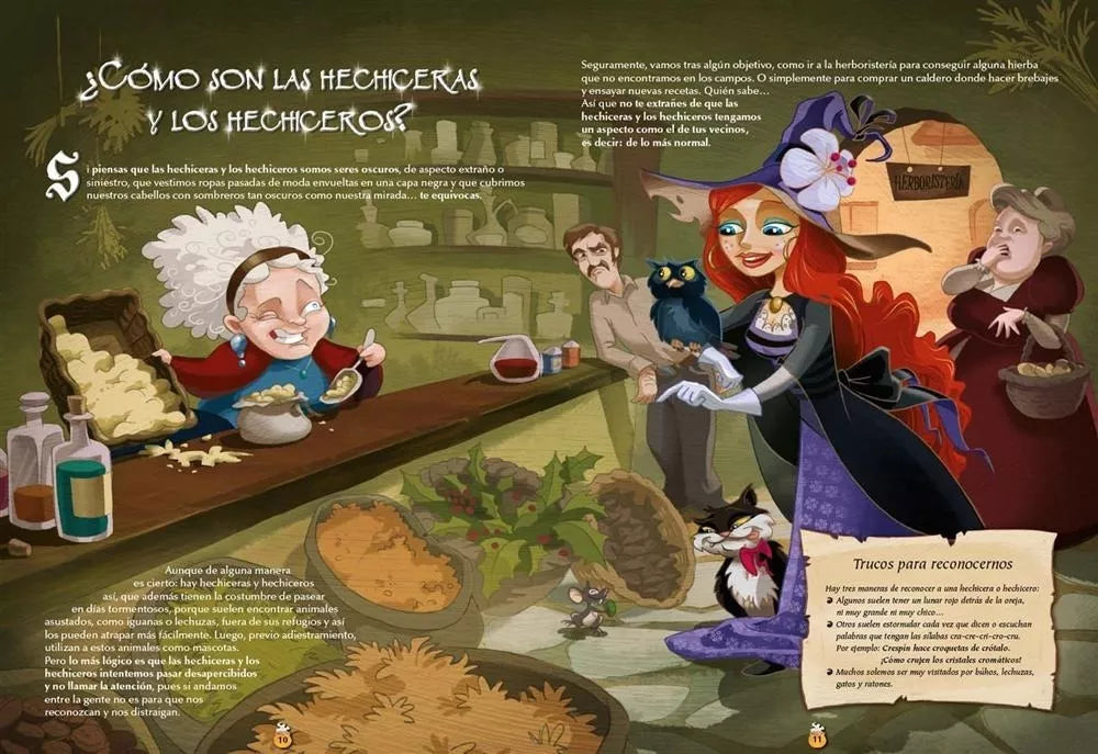 Libro El Mundo De Las Hechiceras Maxiformato