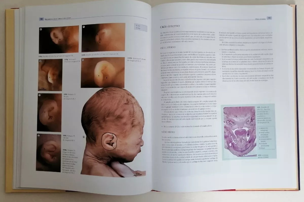 Gran Atlas De La Vida Antes De Nacer