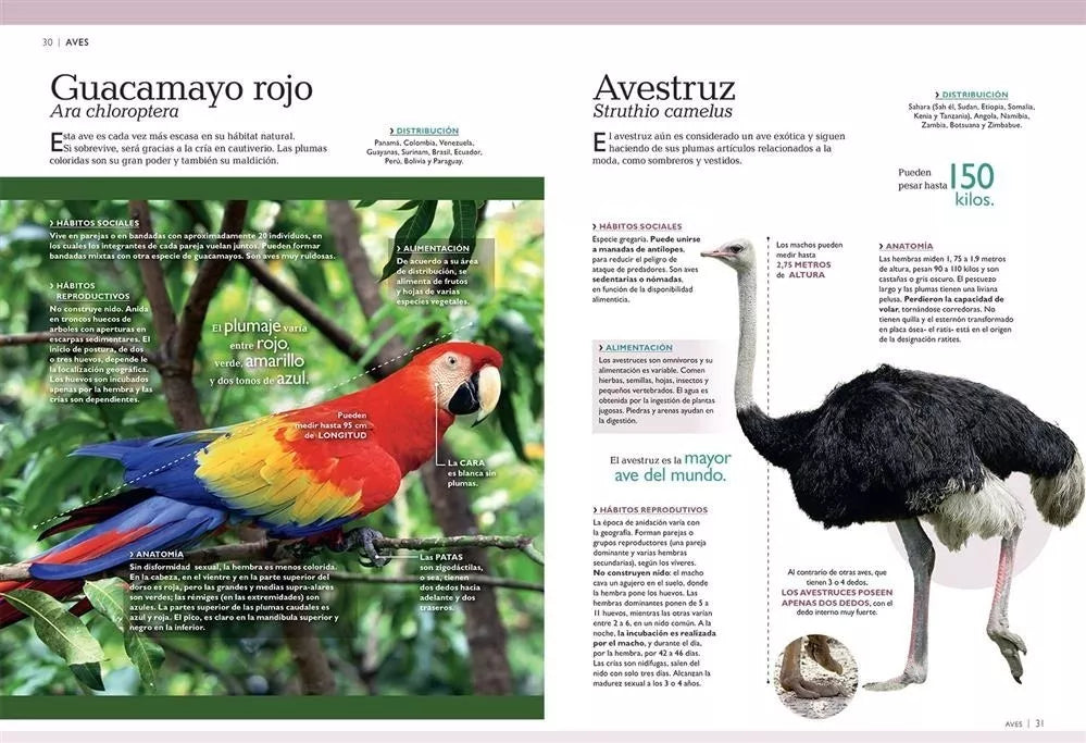 Mundo Animal 3D