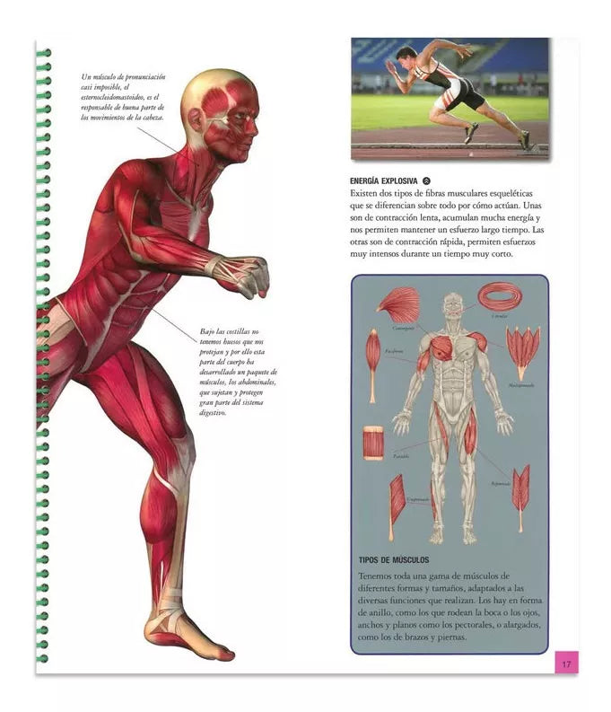 Explora el Cuerpo Humano