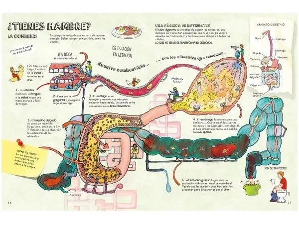 Libro infantil Descubre El Cuerpo Humano