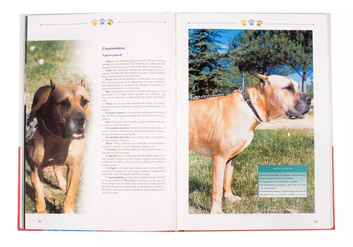 Libro La Biblia de los Perros