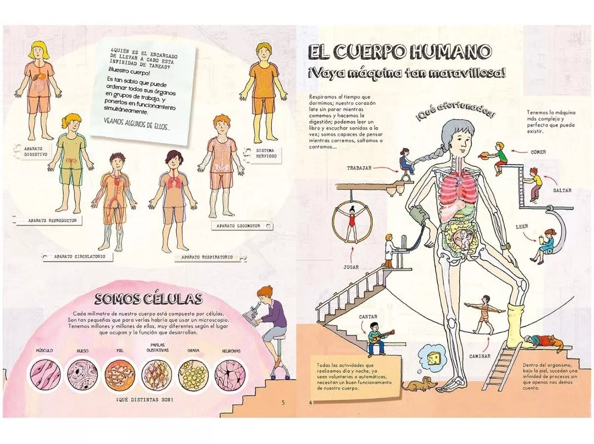 Libro infantil Descubre El Cuerpo Humano