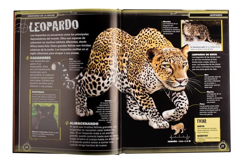 Libro Criaturas de la Noche