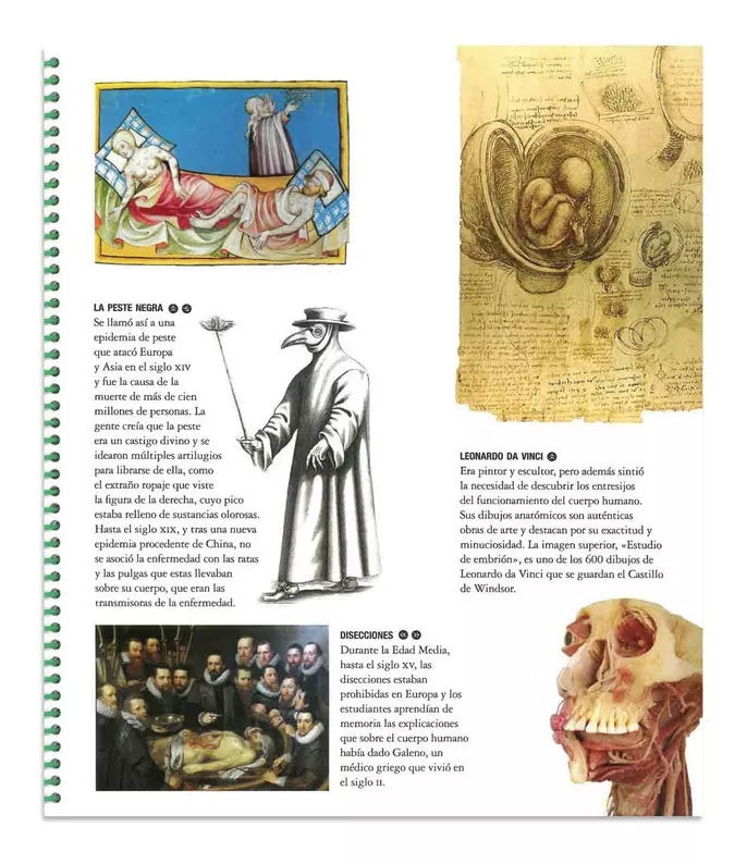 Explora el Cuerpo Humano