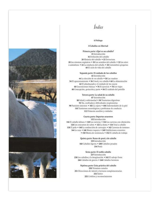 Enciclopedia Definitiva Del Caballo