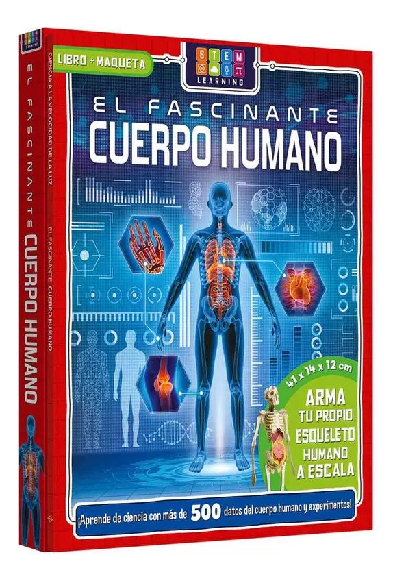 Libro El Fascinante Cuerpo Humano libro+maqueta esqueleto