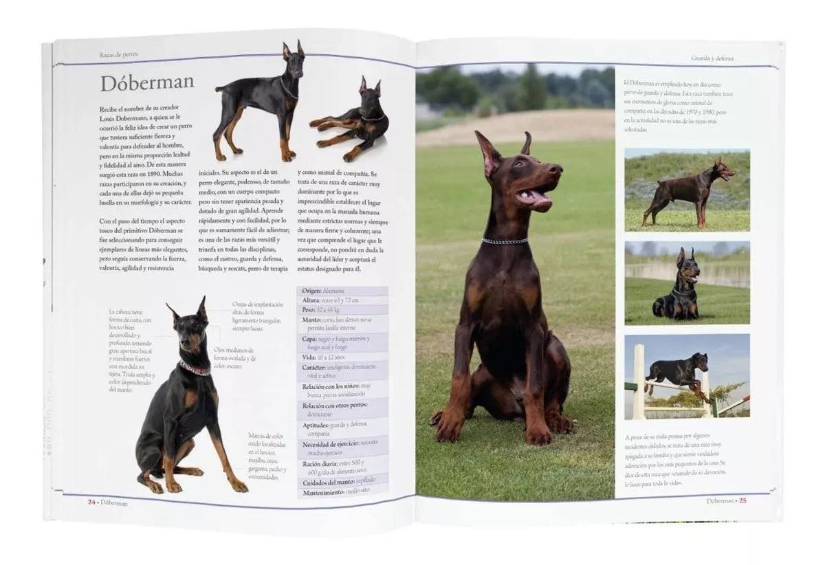 ENCICLOPEDIA DE LAS RAZAS DE PERROS
