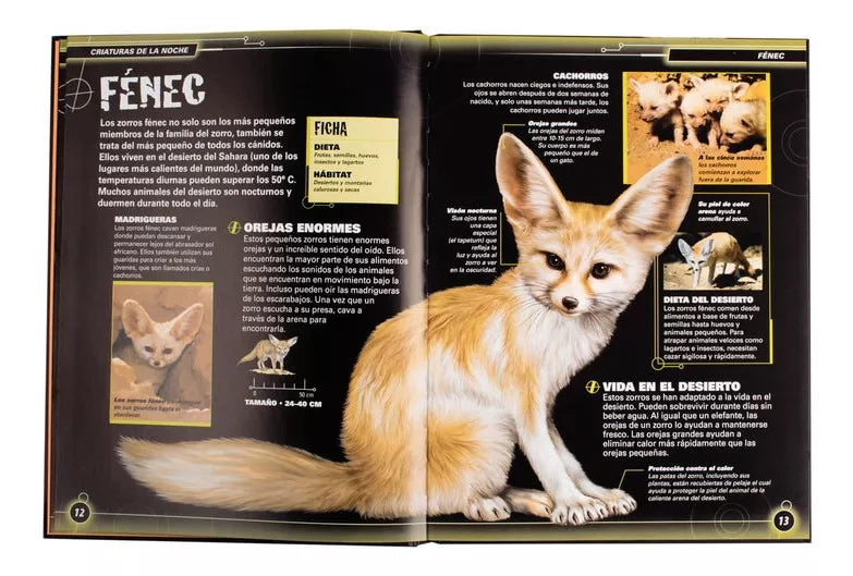 Libro Criaturas de la Noche