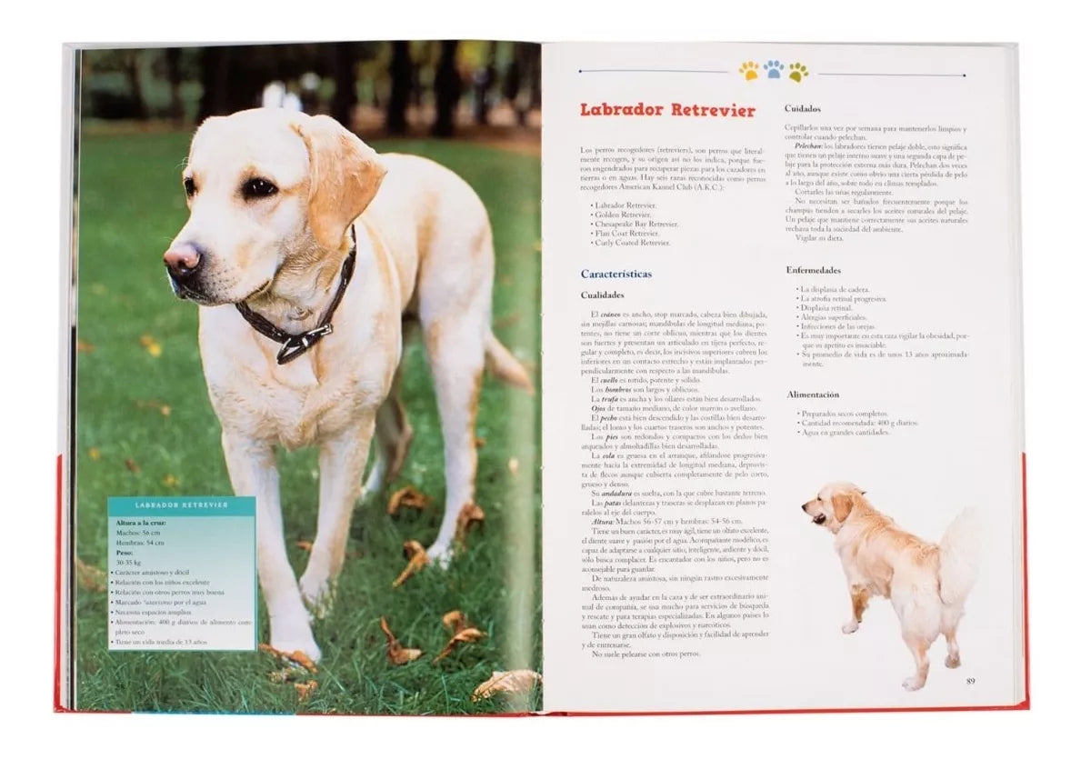 Libro La Biblia de los Perros