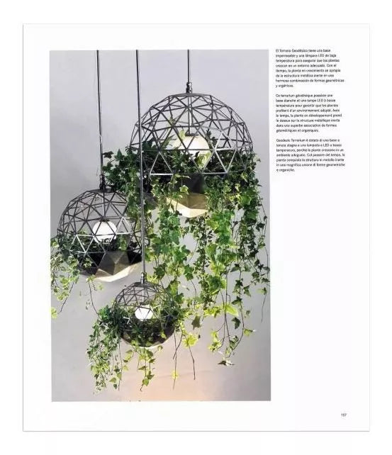 Libro Decorar con Plantas