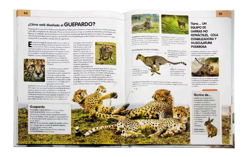 Libro Comportamiento del Reino Animal