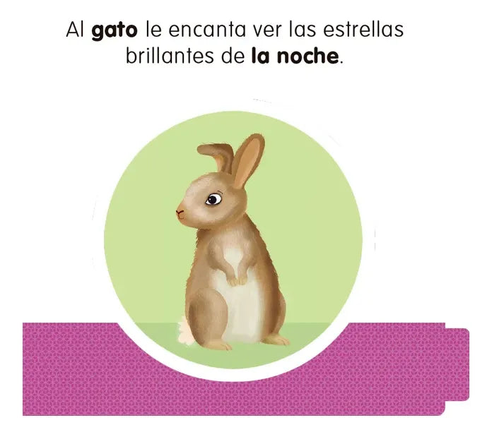 Libro Buenos Días Buenas Noches Libro Giratorio