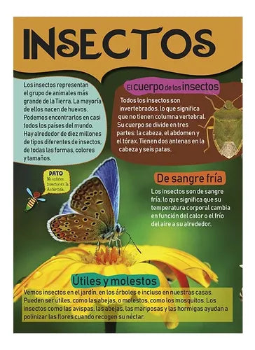 Libro Mi Gran Libro De Insectos