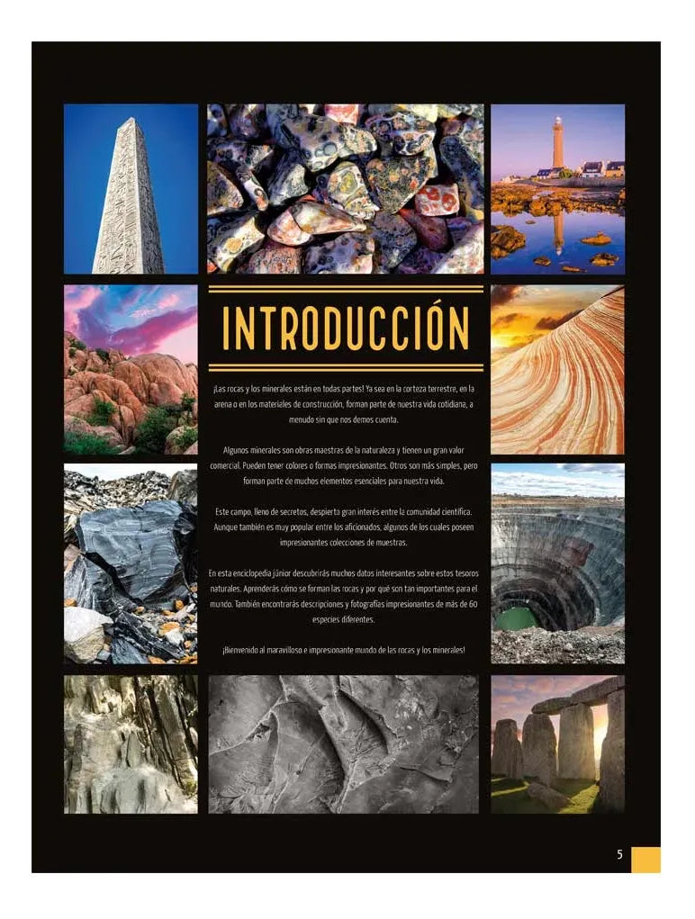 Libro Rocas Y Minerales Mi Enciclopedia Junior