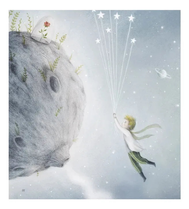 Libro El Principito