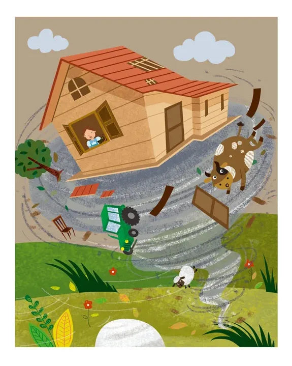 Libro El Mago De Oz