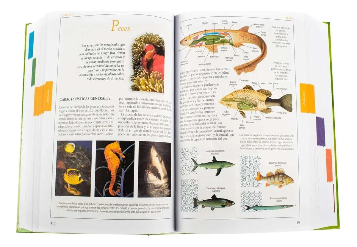 Libro Consultor Ciencias Naturales