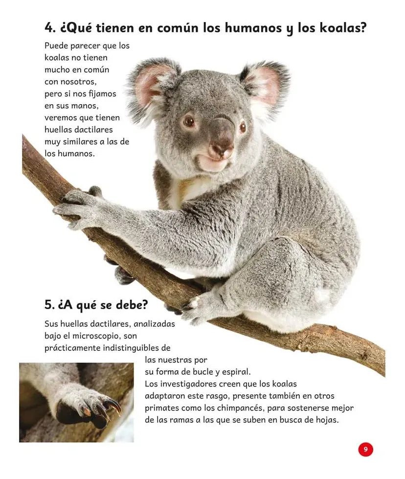 Libro 365 Preguntas Y Respuestas Curiosas Sobre Mundo Animal