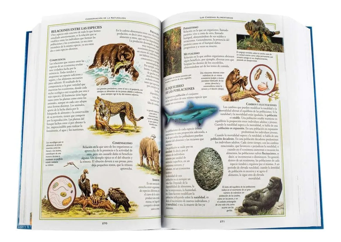 Libro Consultor Mi Primaria