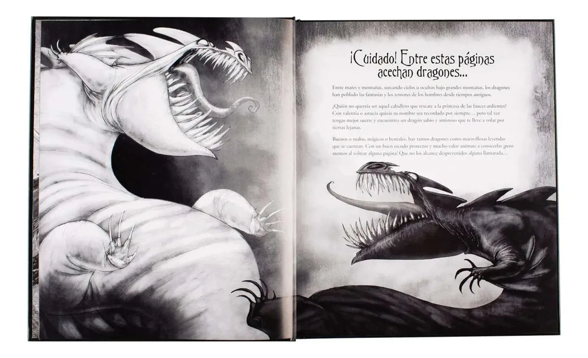 Libro Leyendas Con Dragones Del Mundo