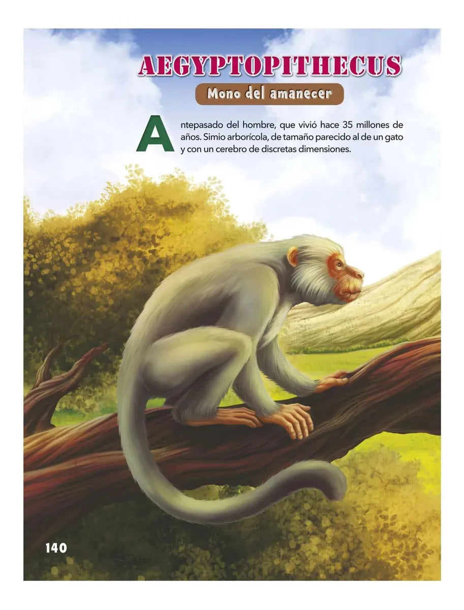 Libro La Era De Hielo
