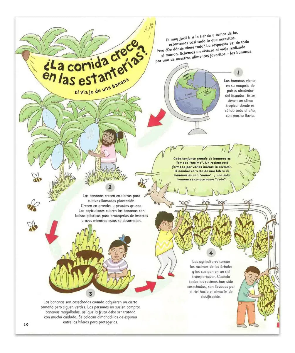 Libro El Viaje De Las Cosas Cotidianas