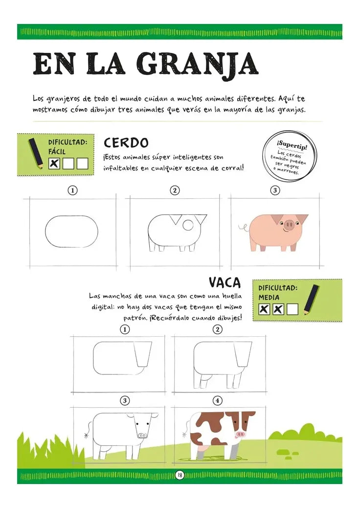 Libro Cómo Dibujar Animales