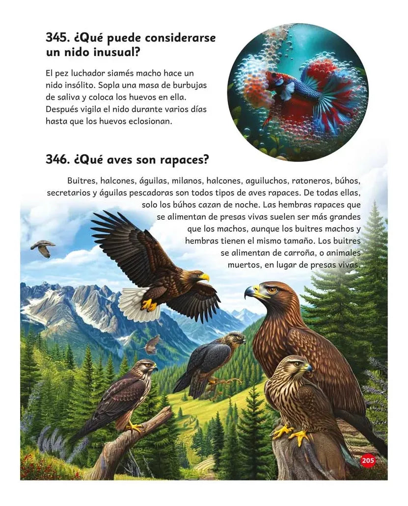 Libro 365 Preguntas Y Respuestas Curiosas Sobre Mundo Animal