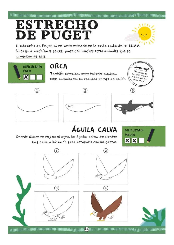 Libro Cómo Dibujar Animales