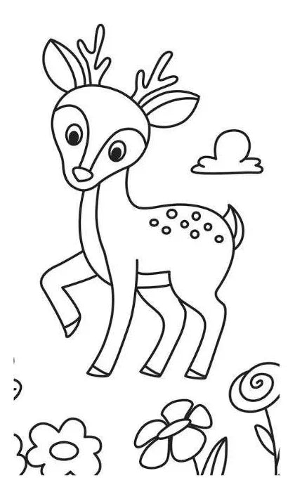 Libro Para Colorear Osos