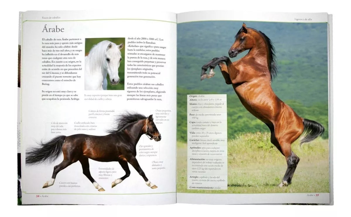 Enciclopedia de Las Razas de Caballos