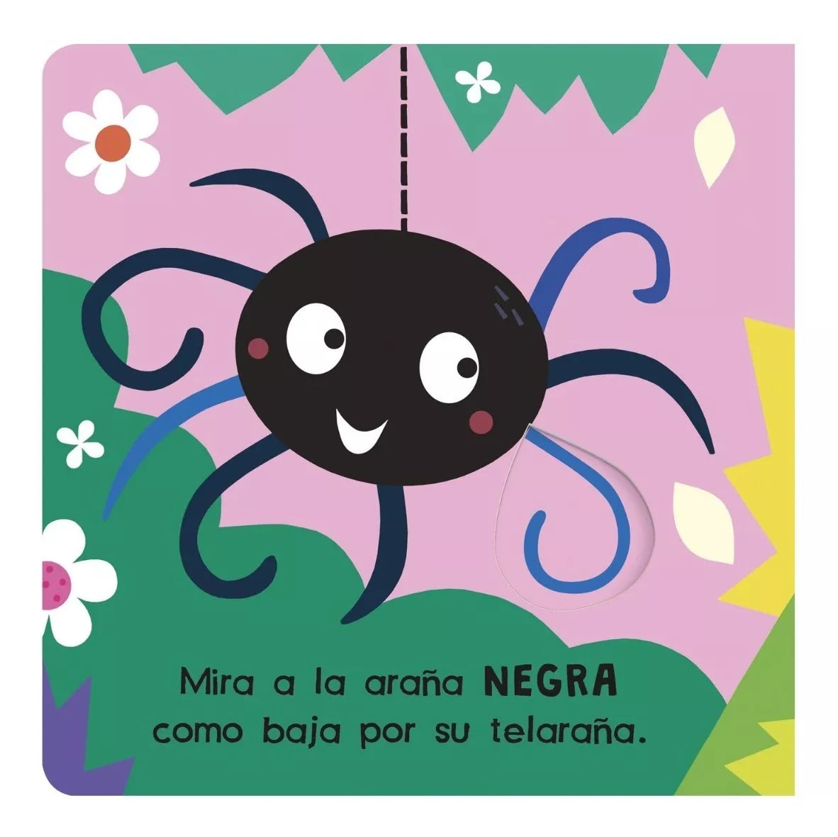 Colección mira y descubre Números, Colores, Formas, opuesto
