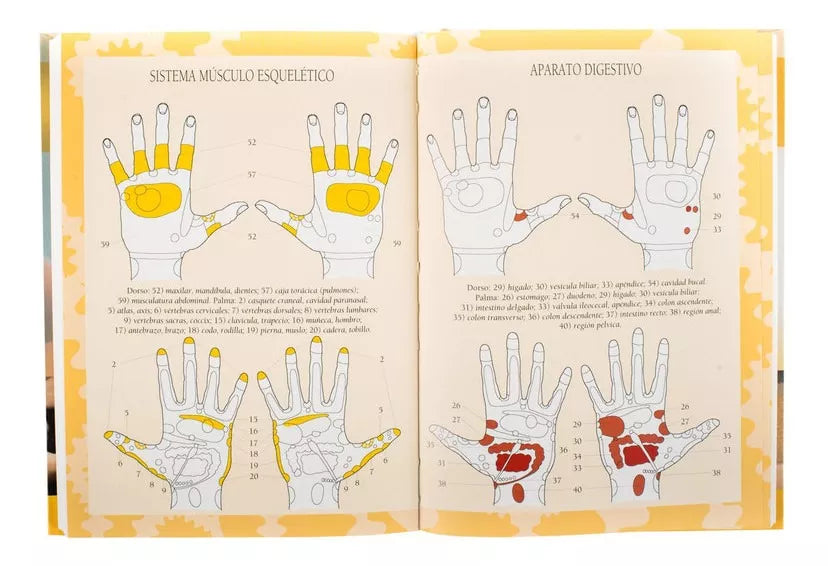 Libro Del Masaje - Enciclopedia Completa